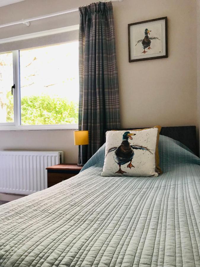 Eden Cottage Lisburn Kültér fotó